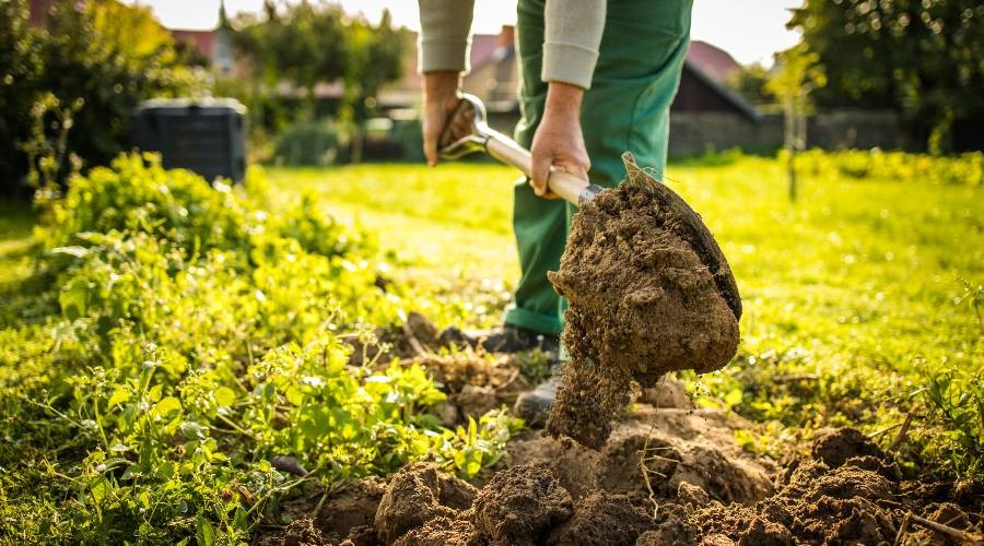 Gazon aanleggen in je tuin